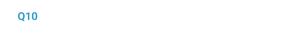 Q10.過去に「これだけは頑張った」というものがある
