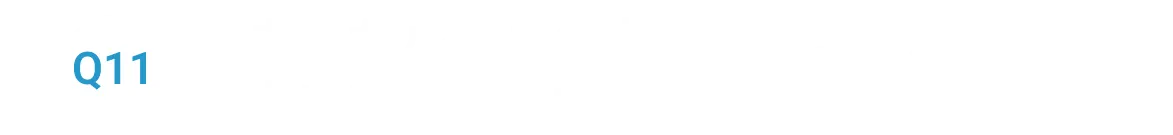 Q11.決まったルールの中で動くより、 自由に工夫したい。